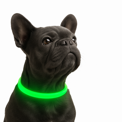 LED Hunde/Katzenhalsband